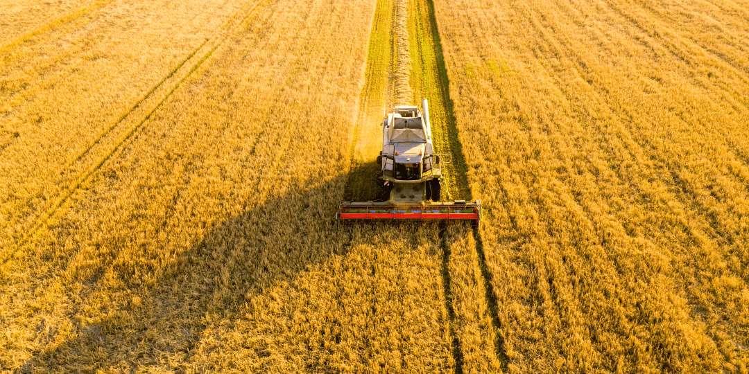 Progetto Natura Societa'Cooperativa Agricola