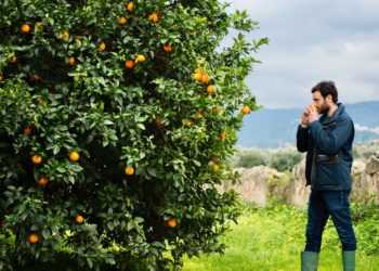 Vai agli articoli Officina Mps: Biorfarm vince il premio innovazione sostenibile!