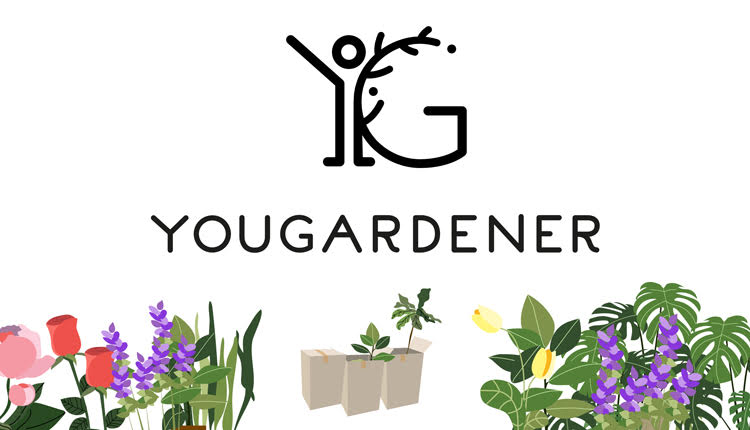 Yougardener_bg