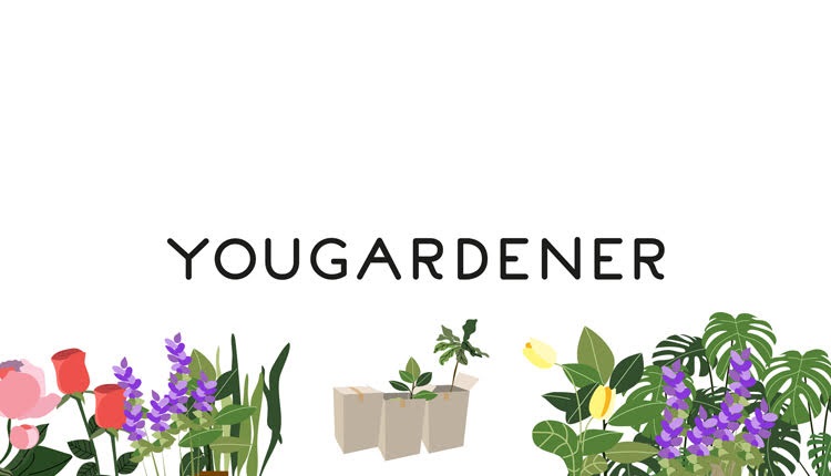 Yougardener_bg1