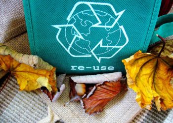 Go to article Economia circolare e Waste management: l’innovazione farà la differenza