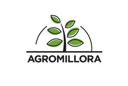 Agromillora