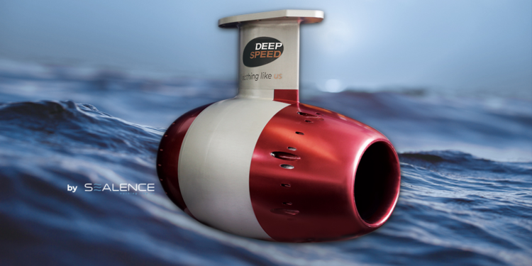 DeepSpeed