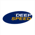 DeepSpeed 2