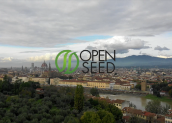 Go to article Open Seed, la holding che ti permette di investire nelle migliori startup!