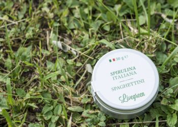 Go to article Carbon footprint: le proteine di Livegreen sostituiscono la carne e assorbono C02!