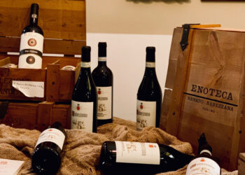 Go to article Rabezzana torna su CrowdFundMe per puntare sui vini bio di alta qualità!