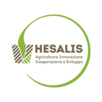 Hesalis