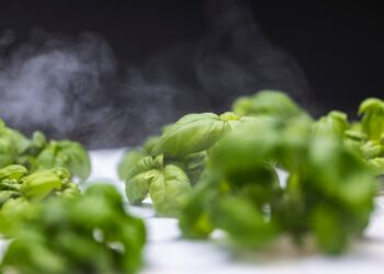 Go to article Il mercato delle serre idroponiche cresce dell’11,3%!