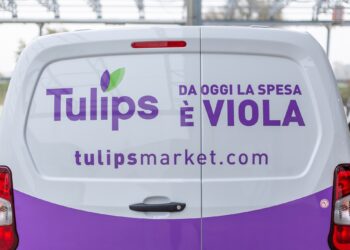 Vai agli articoli Ultimo giorno di raccolta per Tulips. M&A all’orizzonte!