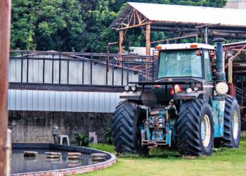 Vai agli articoli Agribusiness: cos’è e come investire in un settore ad alta resa