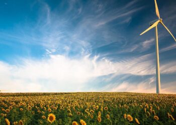 Vai agli articoli Investimenti green: quali scegliere nel 2025
