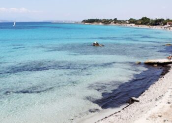 Go to article EasyGlamping, la raccolta vola oltre 1 milione di euro. Fissa la call con Pandian!