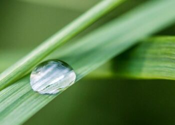 Vai agli articoli Ultimi giorni di round per Transactiva. La prima molecola cosmetica è pronta per il lancio!